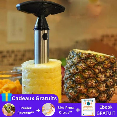 Coupe-ananas-resultat